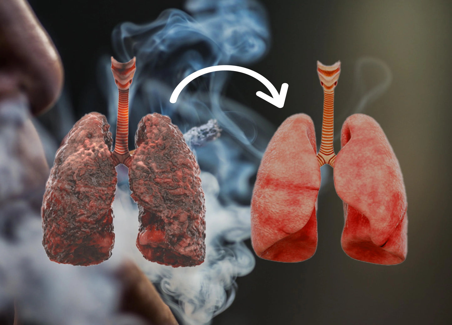 🌿FDA Approved|𝐉𝐎𝑨𝑬®COPD Relief – Mullein Lung Cleanse Oral Liquid(💝 Cough, wheezing, shortness of breath, sputum, stuffy nose, bronchitis, bronchitis, allergy symptoms, lung discomfort🫁)